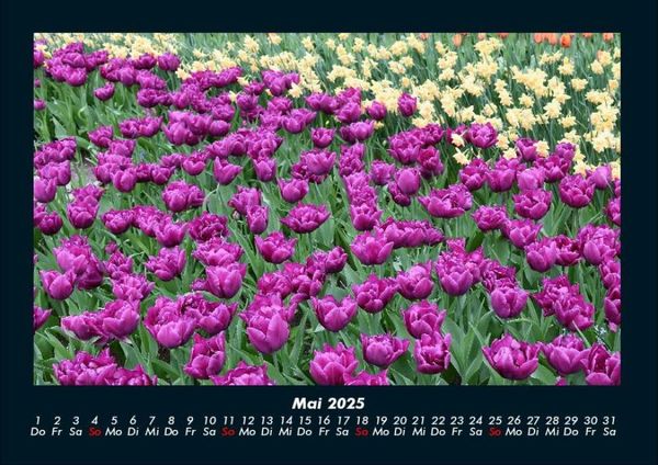 Produktbild: Blumenzauber 2025 Fotokalender DIN A4