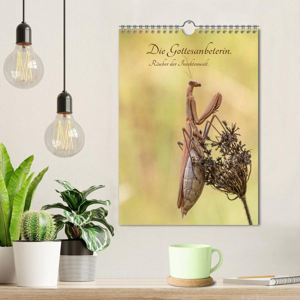 Produktbild: Die Gottesanbeterin. R&auml;uber der Insektenwelt. (Wandkalender 2026 DIN A4 hoch), CALVENDO Monatskalender