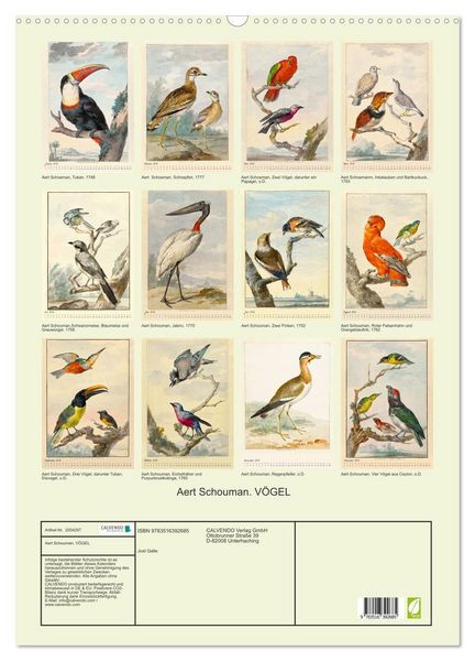 Produktbild: Aert Schouman. V&Ouml;GEL (Wandkalender 2026 DIN A2 hoch), CALVENDO Monatskalender