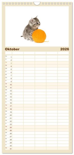 Produktbild: Familienplaner 2026 - Katzenbabys mit 5 Spalten (Wandkalender, 21 x 45 cm) CALVENDO