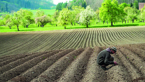 Produktbild: Uhlig, M: Unser Boden, unser Erbe