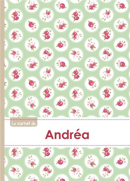 Produktbild: Le carnet d andrea lignes, 96p,