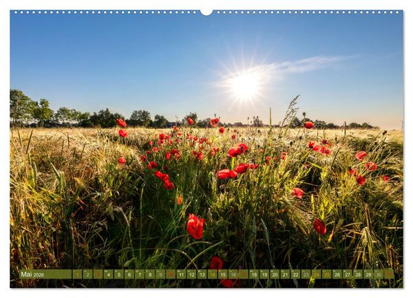 Produktbild: Moin Moormerland (Wandkalender 2026 DIN A2 quer), CALVENDO Monatskalender