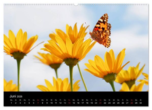 Produktbild: Die vier Jahreszeiten (hochwertiger Premium Wandkalender 2026 DIN A2 quer), Kunstdruck in Hochglanz