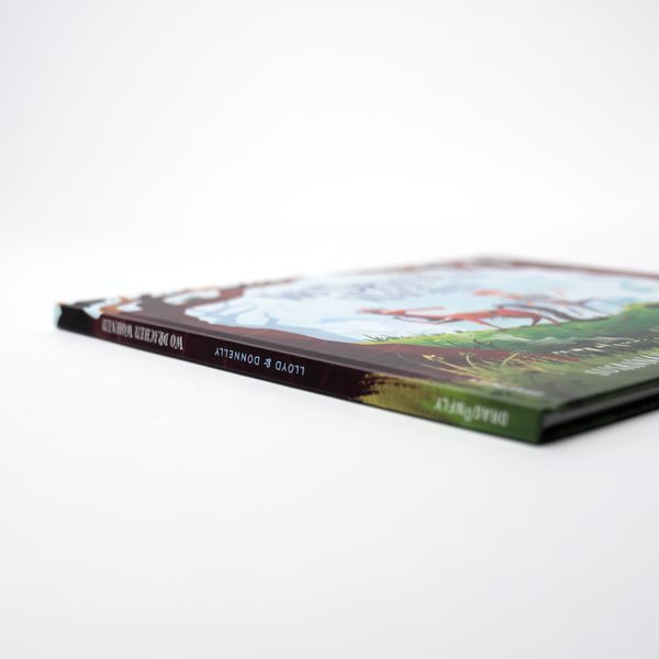 Produktbild: Wo Drachen wachen