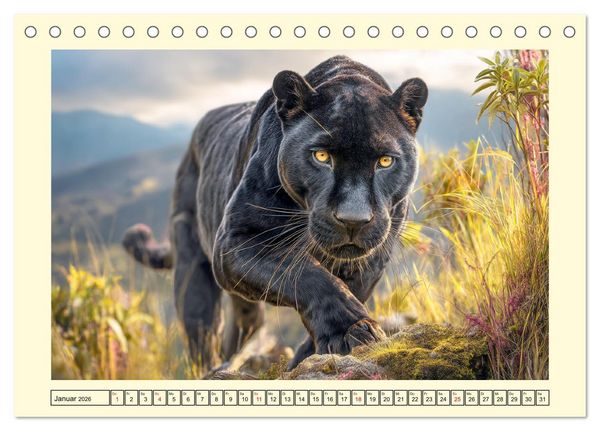 Produktbild: Schwarze Panther. Geheimnisvolle Schatten der Wildnis (Tischkalender 2026 DIN A5 quer), CALVENDO Monatskalender