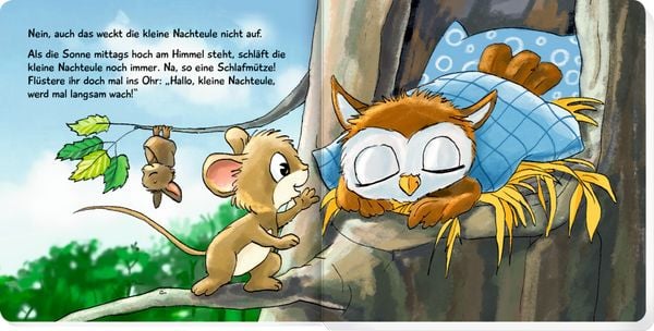 Produktbild: Was machst du, kleine Nachteule?