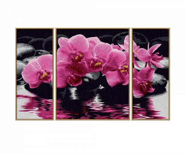 Produktbild: Malen nach Zahlen - Orchideen (Triptychon)