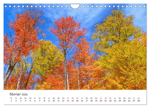 Produktbild: Automne haut en couleurs (Calendrier mural 2026 DIN A4 vertical), CALVENDO calendrier mensuel