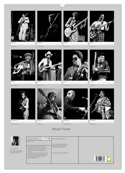 Produktbild: Blues Power (Wandkalender 2026 DIN A2 hoch), CALVENDO Monatskalender