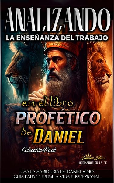 Produktbild: Analizando la Ense&ntilde;anza del Trabajo en el Libro Prof&eacute;tico de Daniel (La Ense&ntilde;anza del Trabajo en la Biblia, #18)