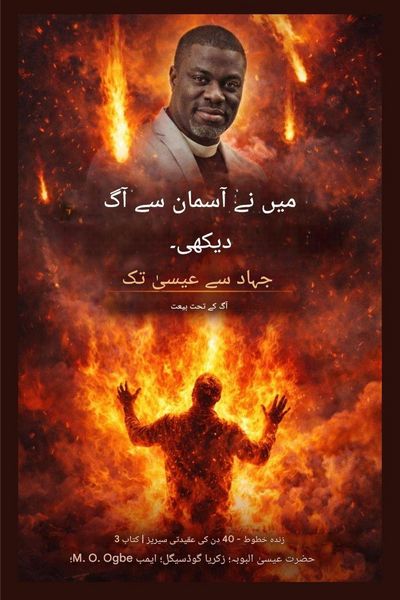 Produktbild: میں نے آسمان سے آگ دیکھی۔