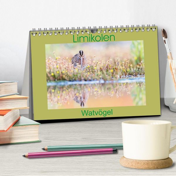 Produktbild: Limikolen - Watv&ouml;gel aus Europa (Tischkalender 2027 DIN A5 quer), CALVENDO Monatskalender