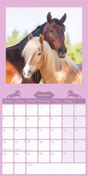 Mein Pferdekalender 2026 - Broschürenkalender 30x30 cm (30x60 geöffnet) - Kalender mit Platz für Notizen - Bildkalender - Wandplaner - Wandkalender
