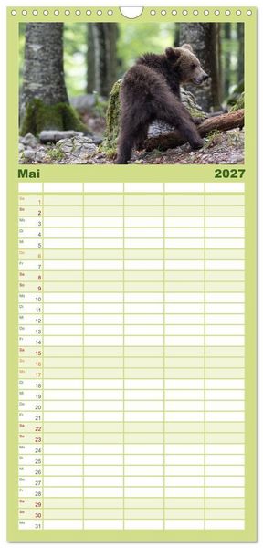 Produktbild: Familienplaner 2027 - Lautlos in den W&auml;ldern Sloweniens mit 5 Spalten (Wandkalender, 21 x 45 cm) CALVENDO