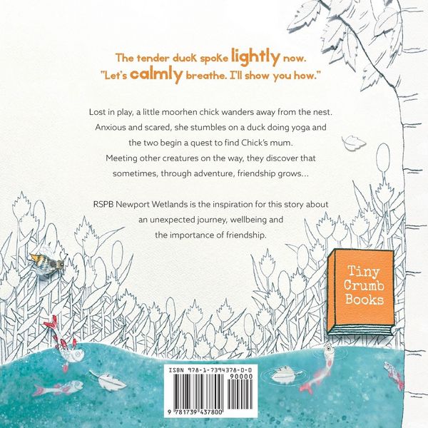 Produktbild: Yogi Duck and the Little Chick