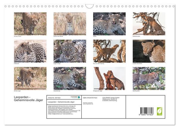 Produktbild: Leoparden - Geheimnisvolle J&auml;ger (Wandkalender 2026 DIN A3 quer), CALVENDO Monatskalender