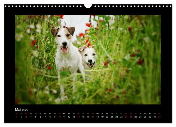 Produktbild: Die Parsons (Wandkalender 2026 DIN A3 quer), CALVENDO Monatskalender