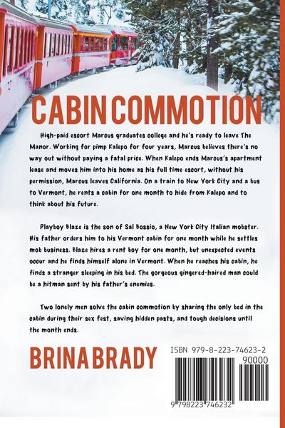 Produktbild: Cabin Commotion