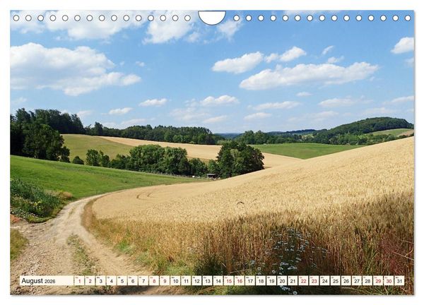 Produktbild: Viele Wege - ein Ziel Wandern im Odenwald (Wandkalender 2026 DIN A4 quer), CALVENDO Monatskalender