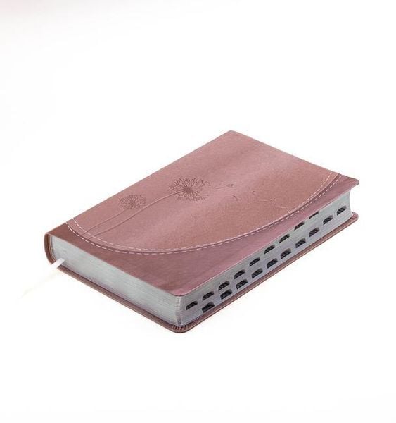 Produktbild: Biblia Para Mujeres Reina Valera 1960 - de Promesas Inspira Letra Gigante (13 Pts) Piel Especial Con &Iacute;ndice Rosa Dorado Spanish Promise Bible with Ind