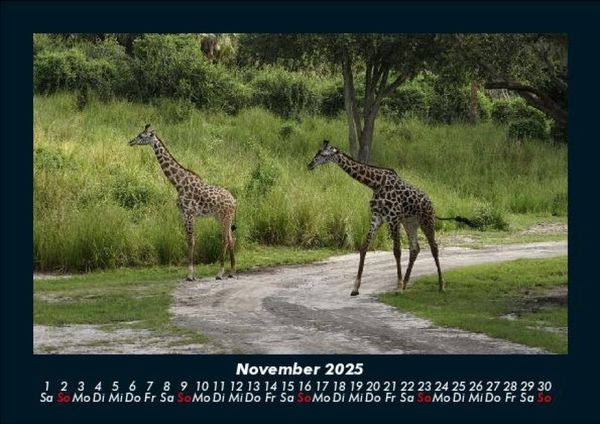 Produktbild: Welt der Tiere 2025 Fotokalender DIN A5