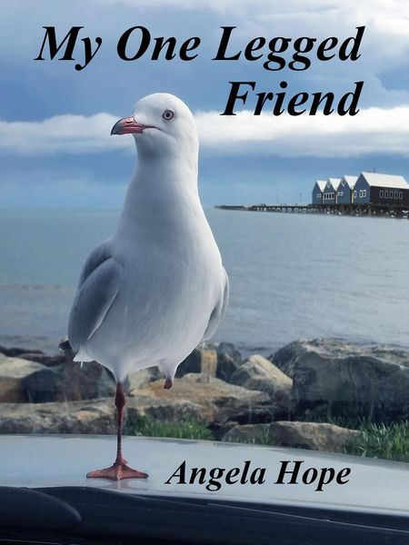 Produktbild: My One Legged Friend