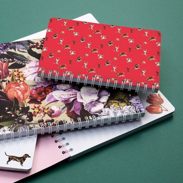 Produktbild: Ringbuch A5 Bello