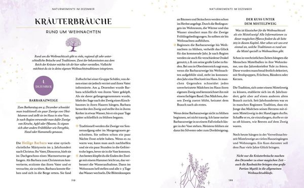 Produktbild: Zaubernuss und Waldmagie &ndash; Naturmomente f&uuml;r deine Seele