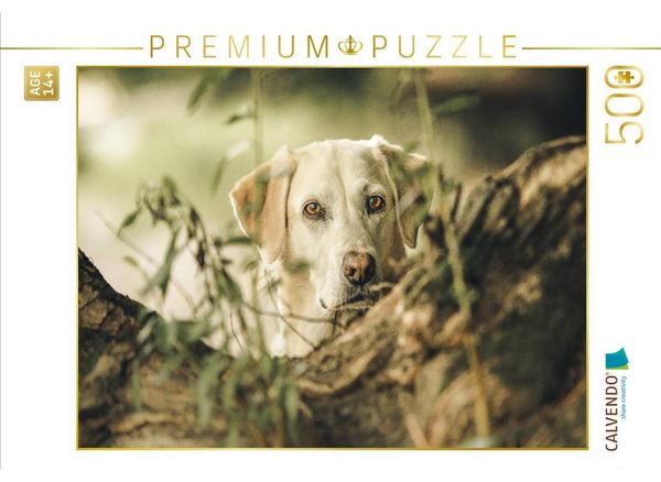 CALVENDO Puzzle Labrador im Gebüsch | 500 Teile Lege-Größe 48 × 36 cm Foto-Puzzle für Erwachsene