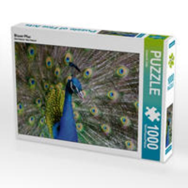 CALVENDO Puzzle Blauer Pfau 1000 Teile Lege-Größe 64 x 48 cm Foto-Puzzle Bild von Ursula Di Chito