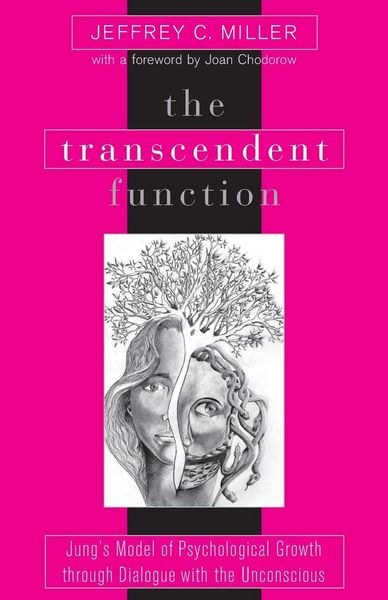 Produktbild: The Transcendent Function