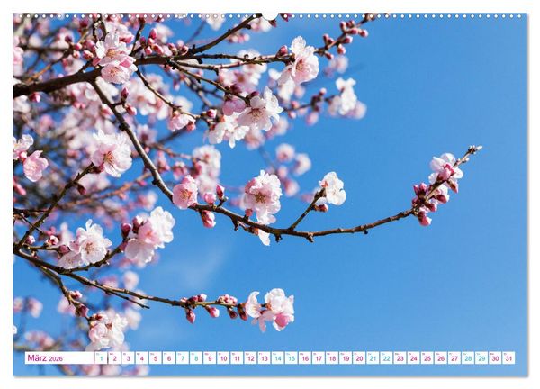 Produktbild: Freinsheim - So Wunderbar (Wandkalender 2026 DIN A2 quer), CALVENDO Monatskalender