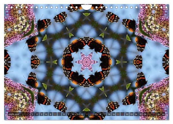 Produktbild: Natur im Kaleidoskop (Wandkalender 2026 DIN A4 quer), CALVENDO Monatskalender
