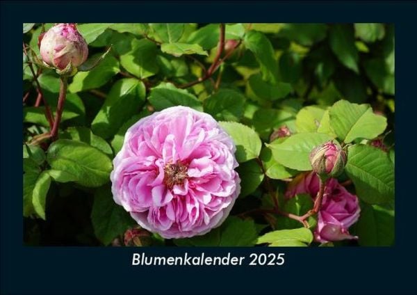 Produktbild: Blumenkalender 2025 Fotokalender DIN A5