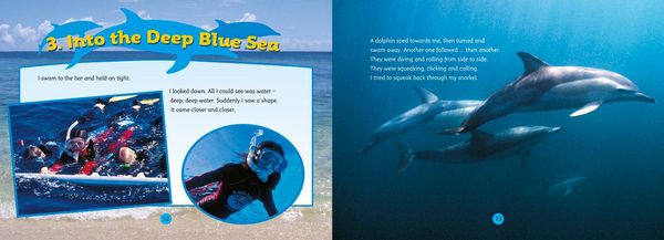 Produktbild: Swimming with Dolphins