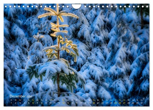 Produktbild: Traum Momente (Wandkalender 2026 DIN A4 quer), CALVENDO Monatskalender