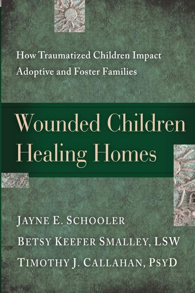 Produktbild: Wounded Children, Healing Homes