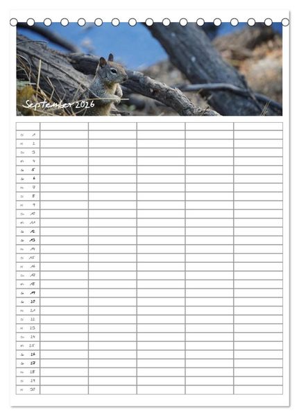 Produktbild: Kalifornien - Familienplaner 2026 (Tischkalender 2026 DIN A5 hoch), CALVENDO Monatskalender