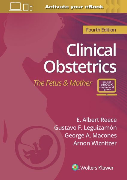 Produktbild: Reece, E: Clinical Obstetrics