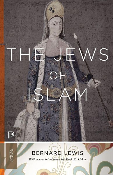 Produktbild: The Jews of Islam