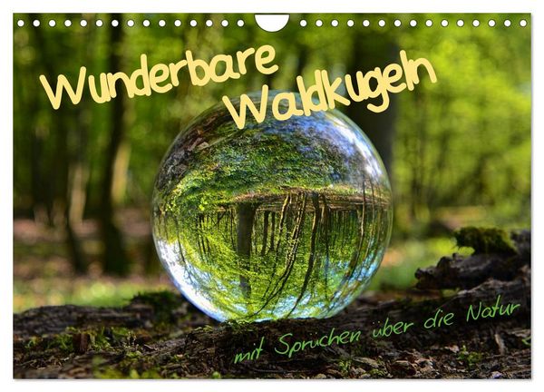 Produktbild: Wunderbare Waldkugeln (Wandkalender 2026 DIN A4 quer), CALVENDO Monatskalender