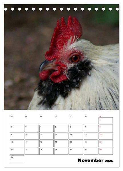 Produktbild: H&uuml;hner Terminplaner (Tischkalender 2026 DIN A5 hoch), CALVENDO Monatskalender
