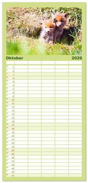 Produktbild: Familienplaner 2026 - Verspielte Fuchswelpen - Allein zu Haus' mit 5 Spalten (Wandkalender, 21 x 45 cm) CALVENDO
