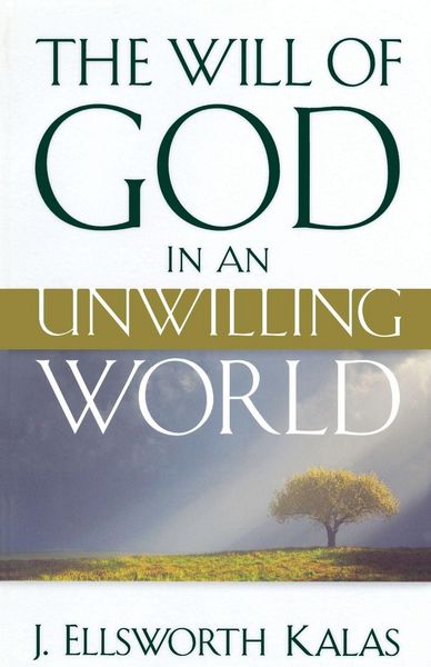 Produktbild: The Will of God in an Unwilling World