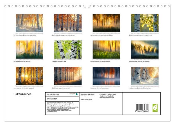 Produktbild: Birkenzauber (Wandkalender 2026 DIN A3 quer), CALVENDO Monatskalender