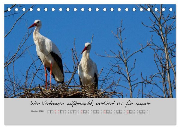 Produktbild: Kleine und gro&szlig;e Wahrheiten - Spr&uuml;che zum Nachdenken (Tischkalender 2026 DIN A5 quer), CALVENDO Monatskalender