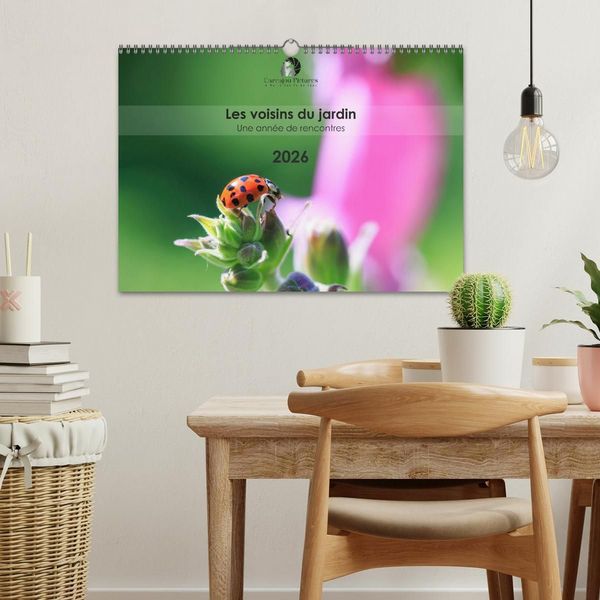 Produktbild: Les voisins du jardin - Une ann&eacute;e de rencontres (Calendrier mural 2027 DIN A3 vertical), CALVENDO calendrier mensuel
