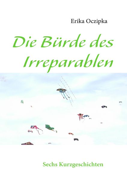 Produktbild: Die B&uuml;rde des Irreparablen