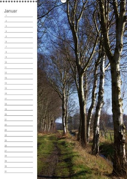 Produktbild: Malerisches Teufelsmoor (Wandkalender immerw&auml;hrend DIN A2 hoch)